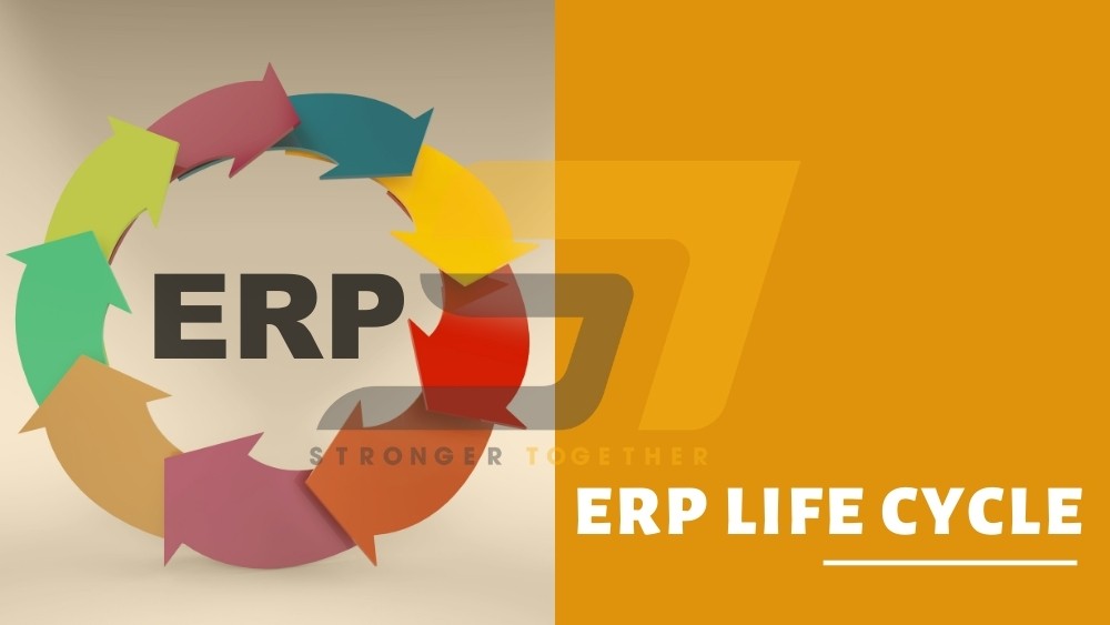 erp-life-cycle